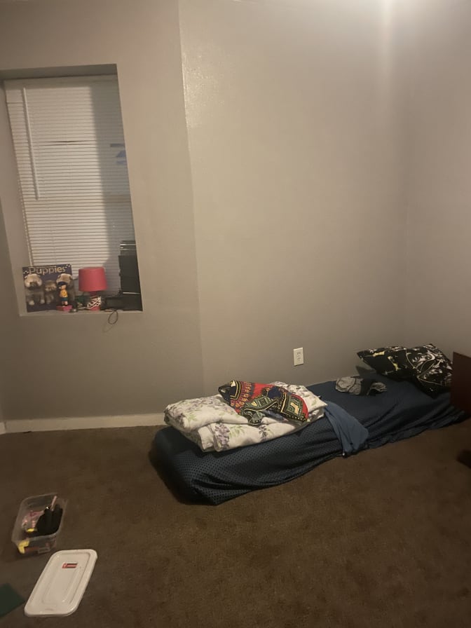 Photo of S's room