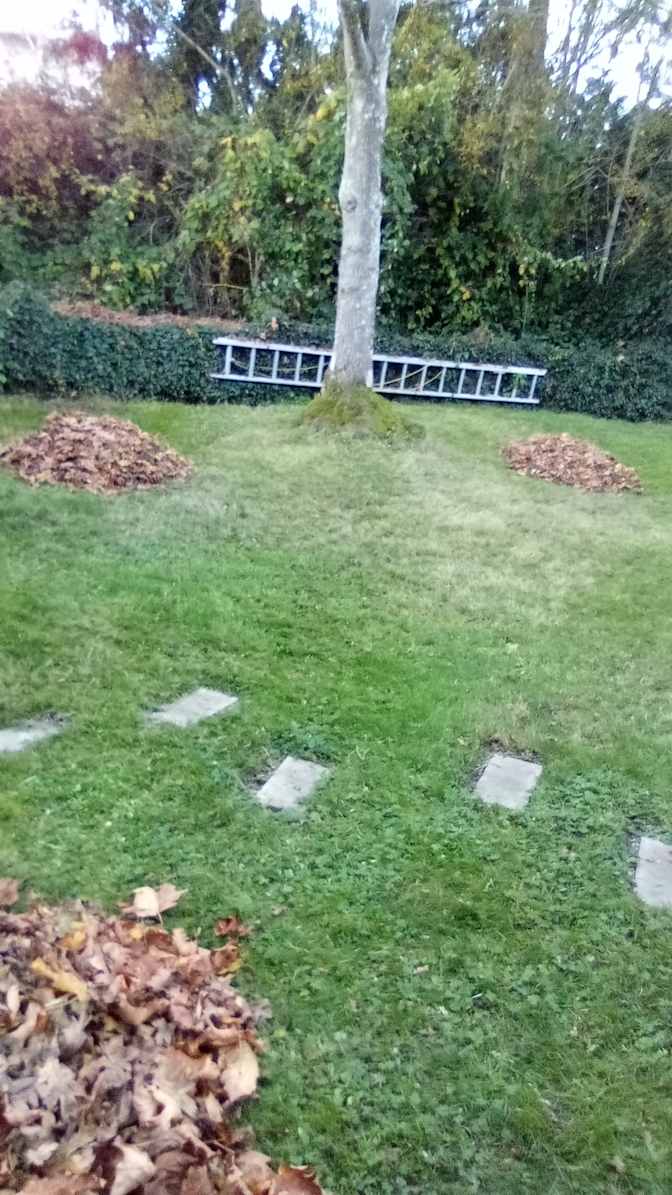 Photo of Barbara's room