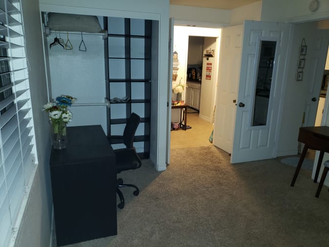 Photo of Rondi's room