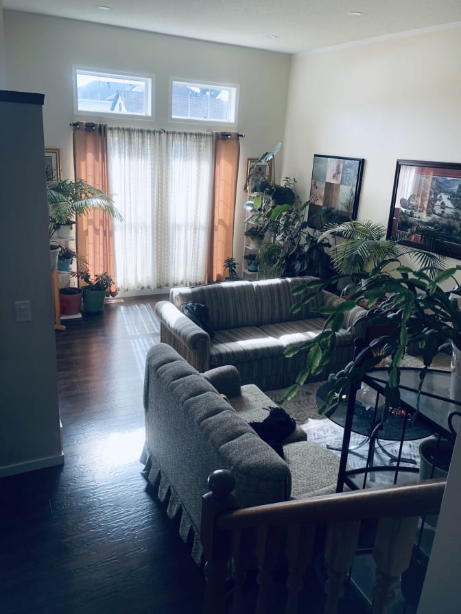 Photo of shiny T's room