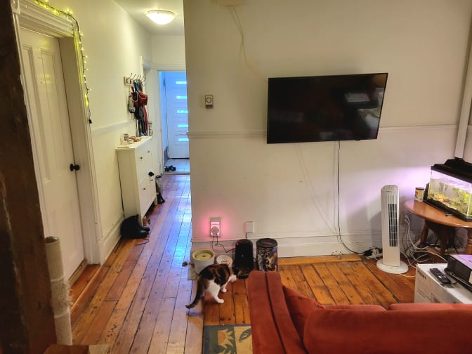 Photo of Max's room