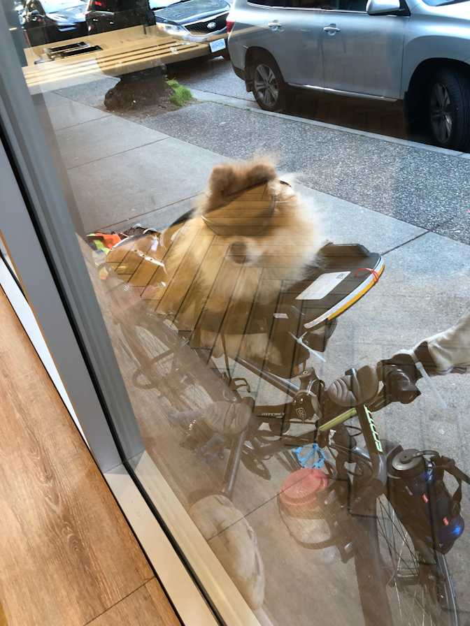 Photo of mert's room