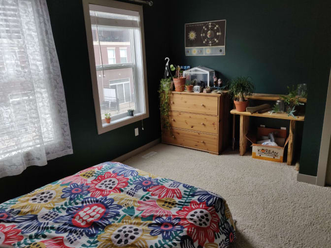 Photo of Georgia's room