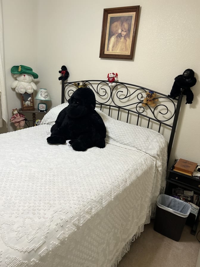 Photo of steven's room