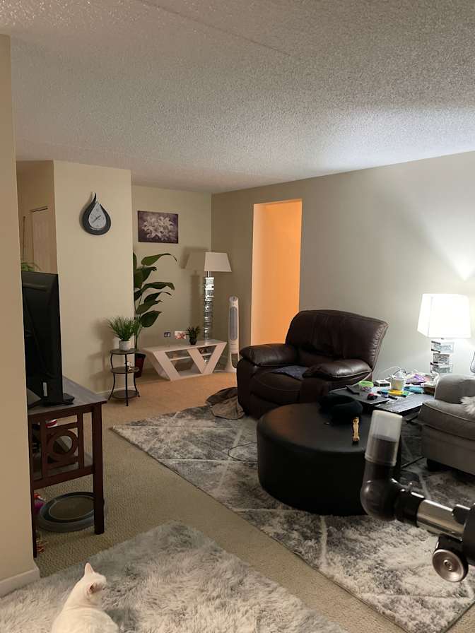 Photo of Carole's room