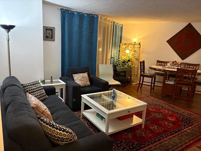 Saeid Foroughi's room