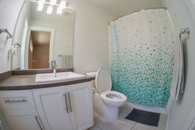 Matthew Collins's room