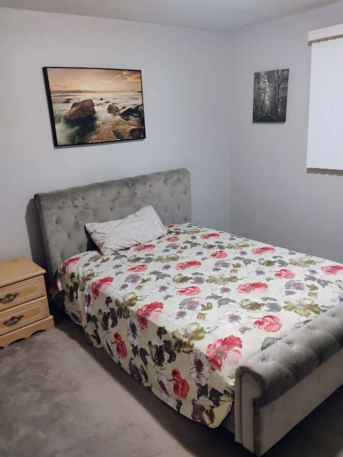 Dave whiteman's room