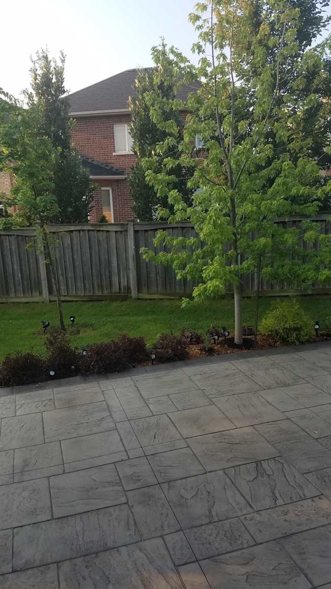 Kavesseri Raja's room