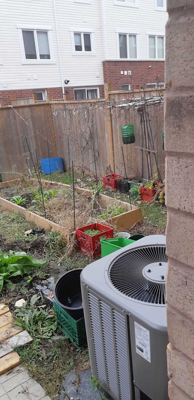 Photo of Shaheen's room