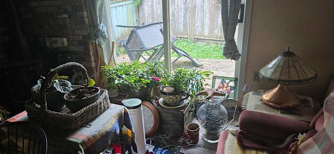 Photo of DIANNE BELLIVEAU's room