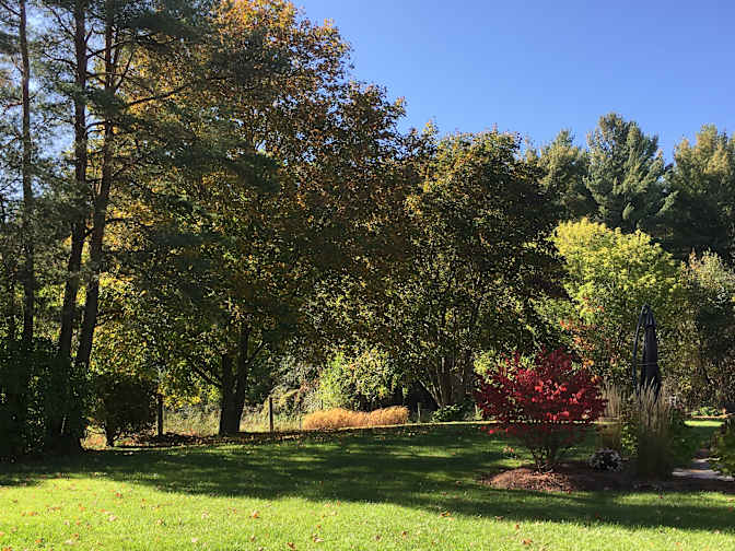 Caledon Suite's room