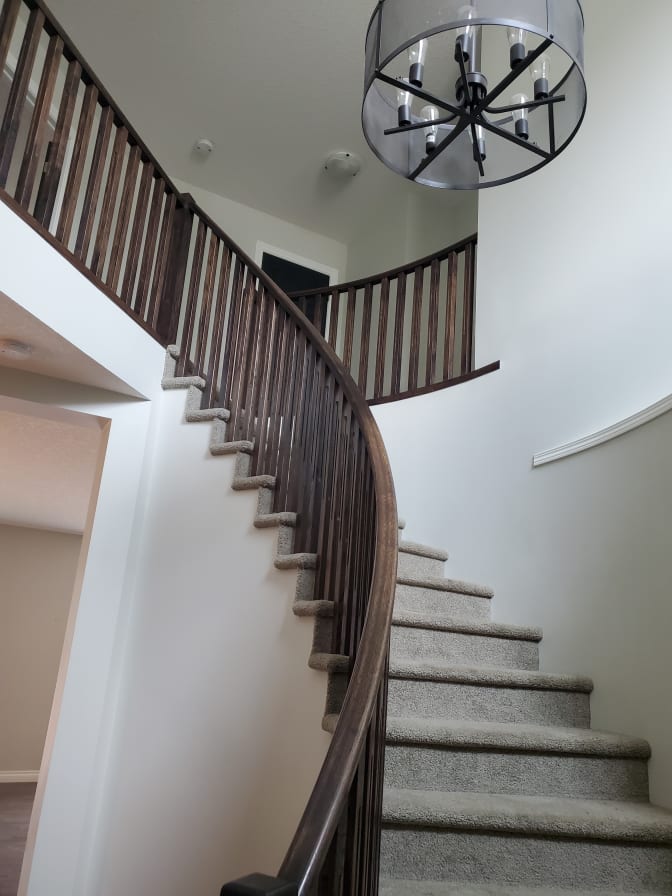 Long (Tony) Duong's room