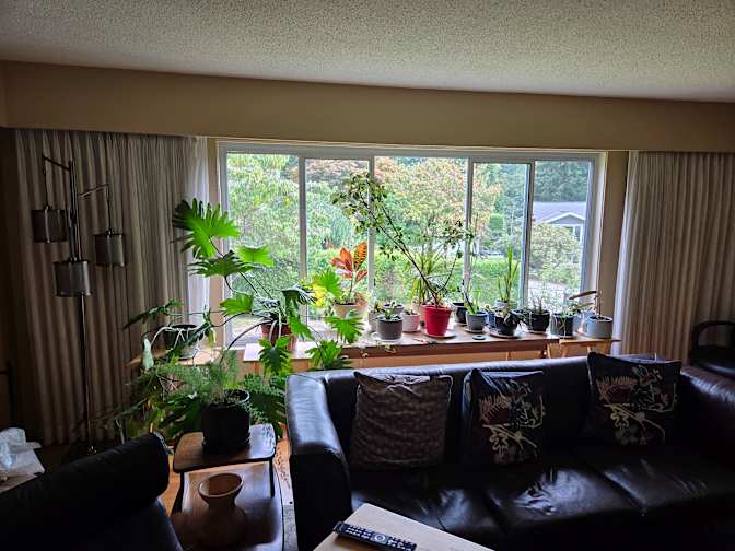 Photo of Roland's room