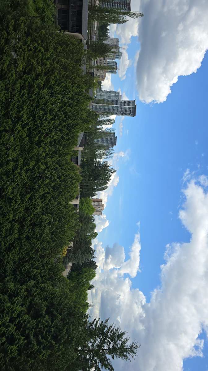 Photo of Reza's room