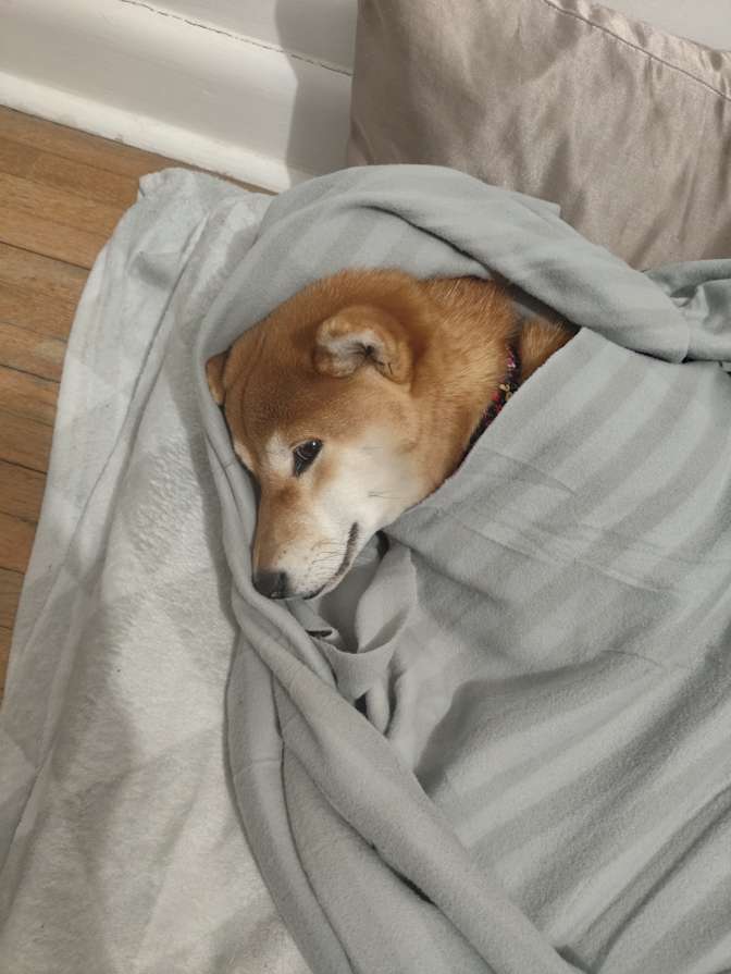 Viet Anh Nguyen's room