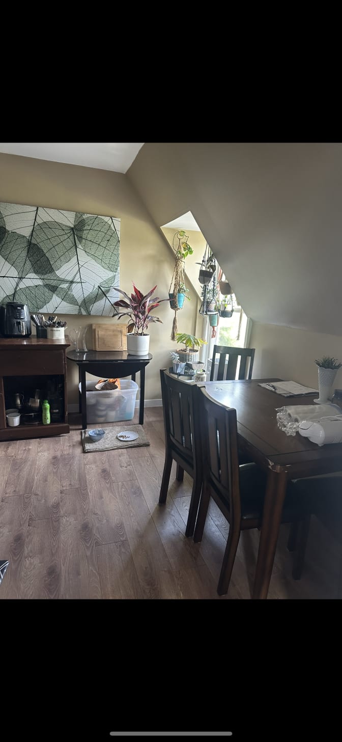 Photo of Rachael's room