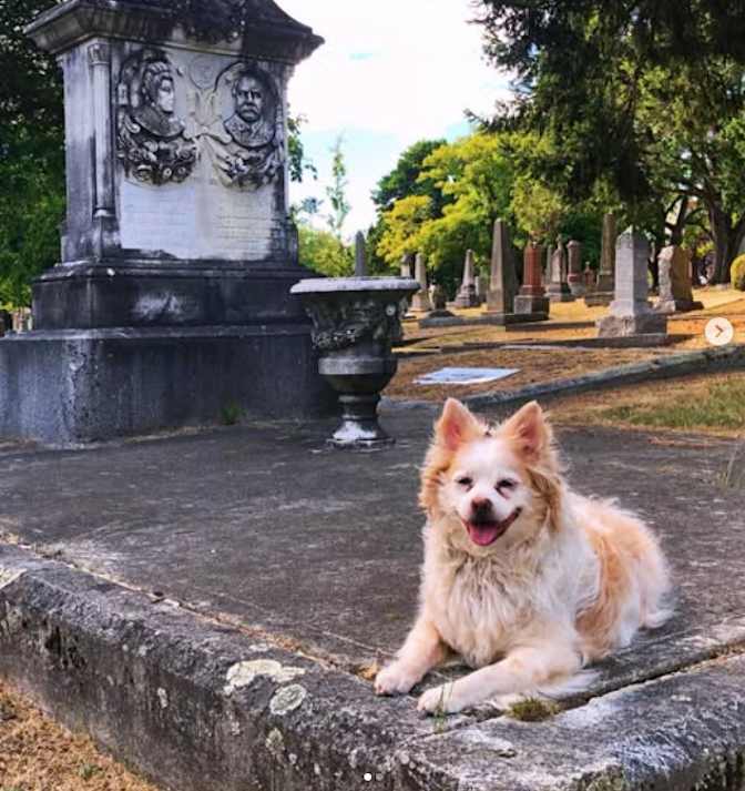 Photo of Serena's room