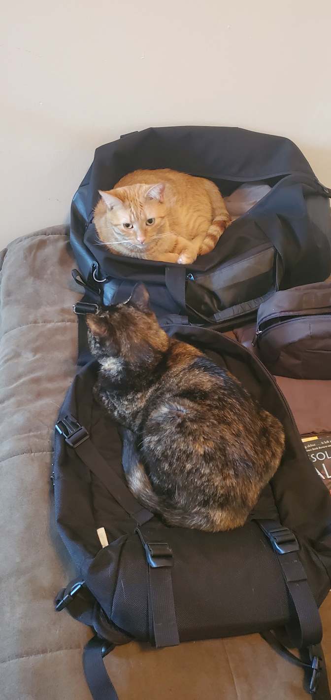 Isla Robertson's room