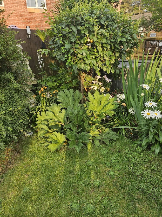 Photo of Janet Ogrady's room