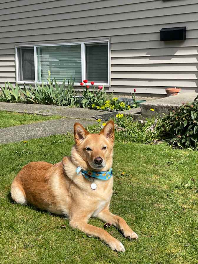 Kayla Stockton's room