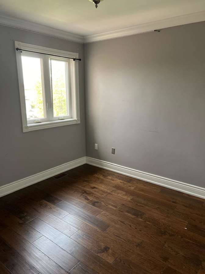 Photo of Intellents's room