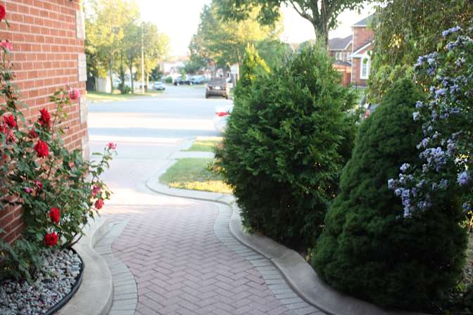 Jannis Morgan's room