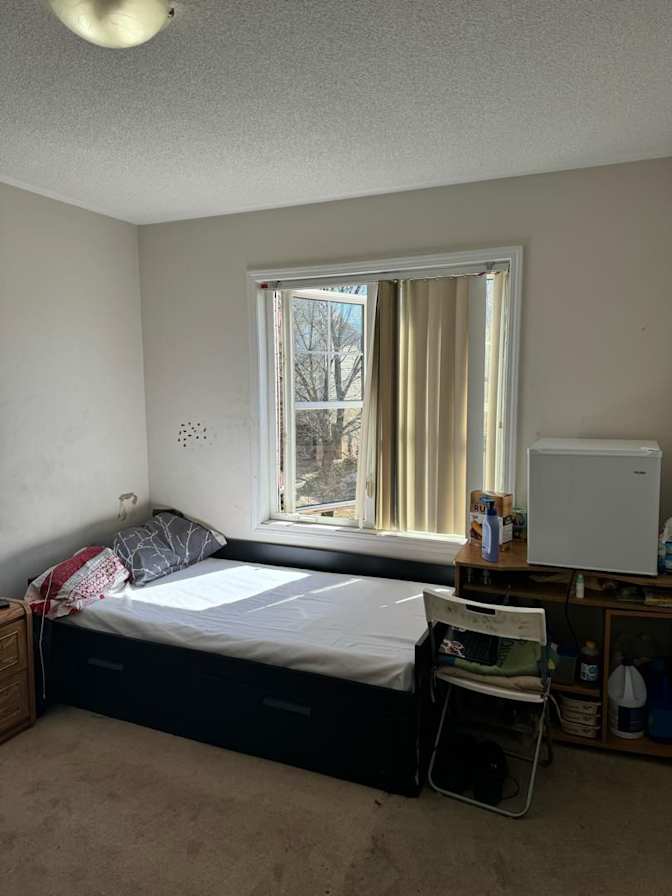 Photo of Shaheen's room