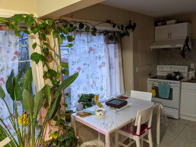 Yazdan Kalani's room