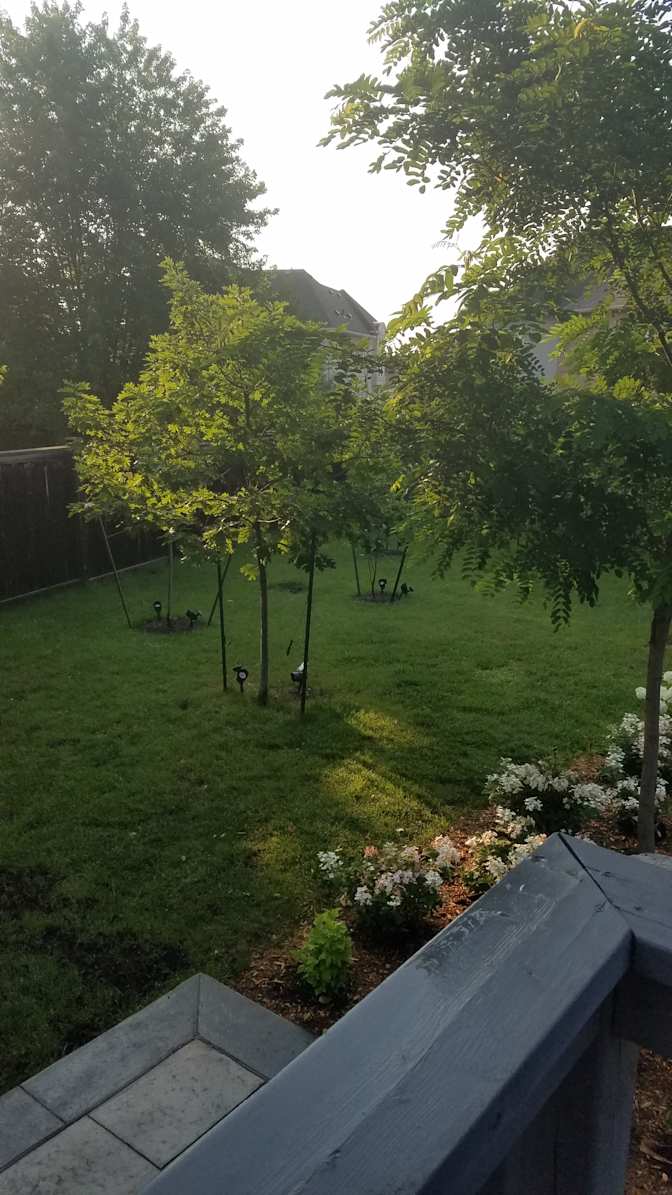 Kavesseri Raja's room