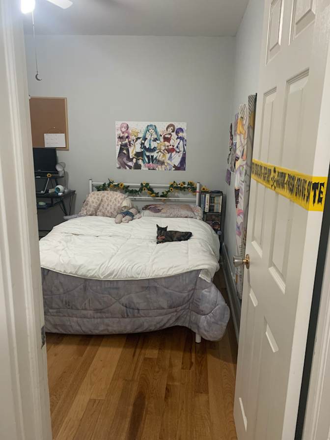 Photo of Sarah's room