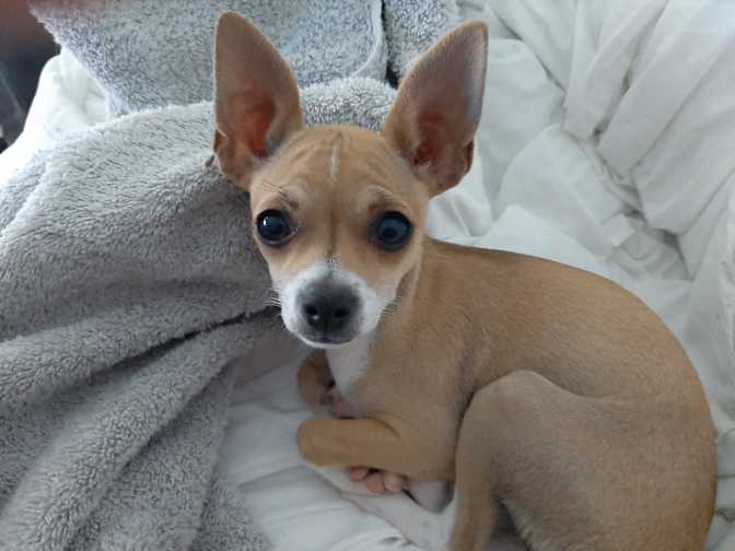 TIMOTHY IRWIN's room