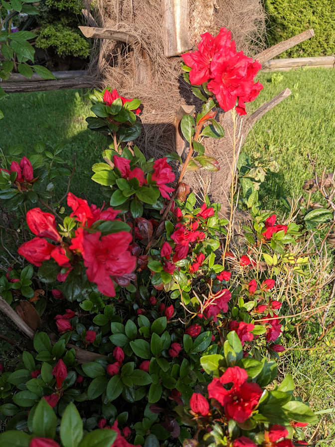 Photo of Rachel's room