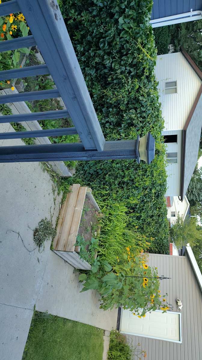 Photo of Caleo's room