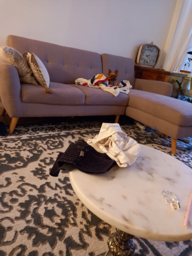 Cynthia Harris's room