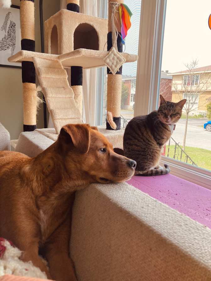 Photo of Sarah's room