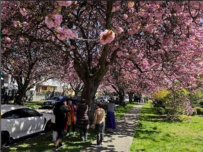 Photo of Danielle's room