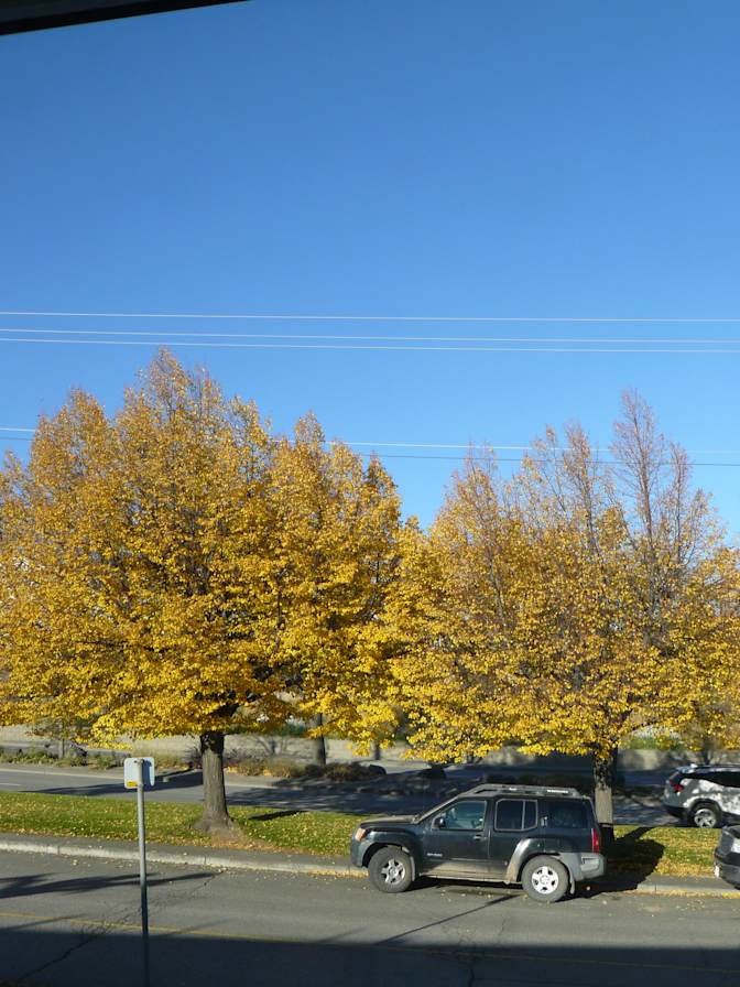 Miss Renee K. Taylor--Wants to help resolve an unconfirmed Crime-Incident--University Degree--Theatre Buff's room