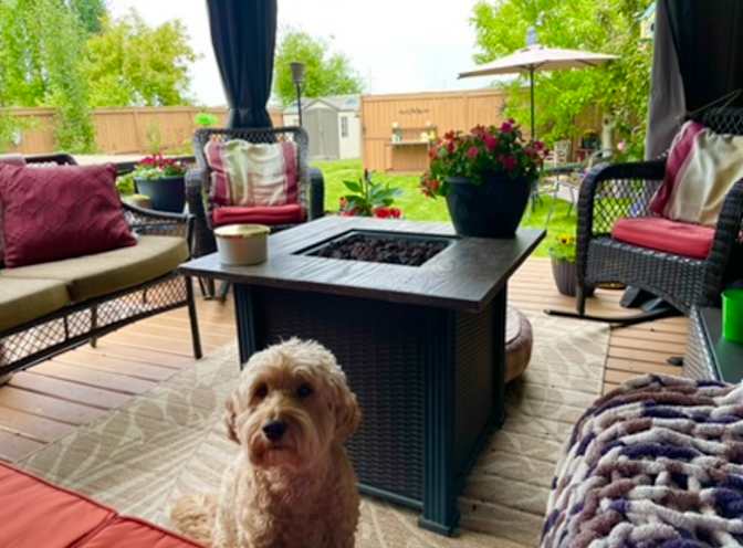 Photo of Karrie's room