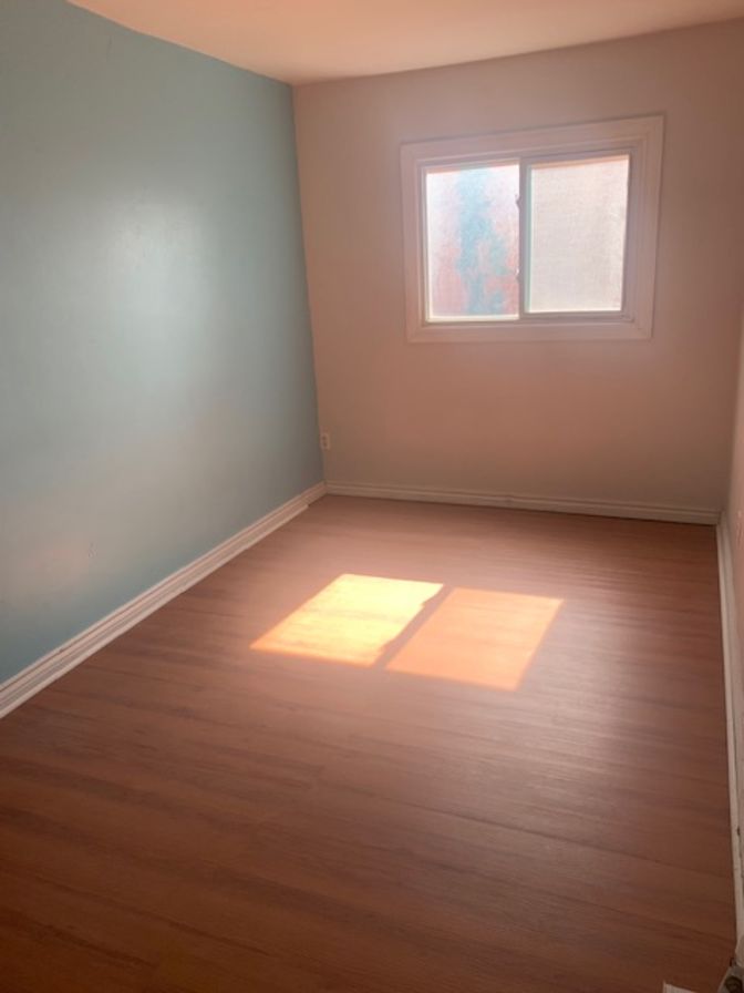 Photo of Brick on Brick's room