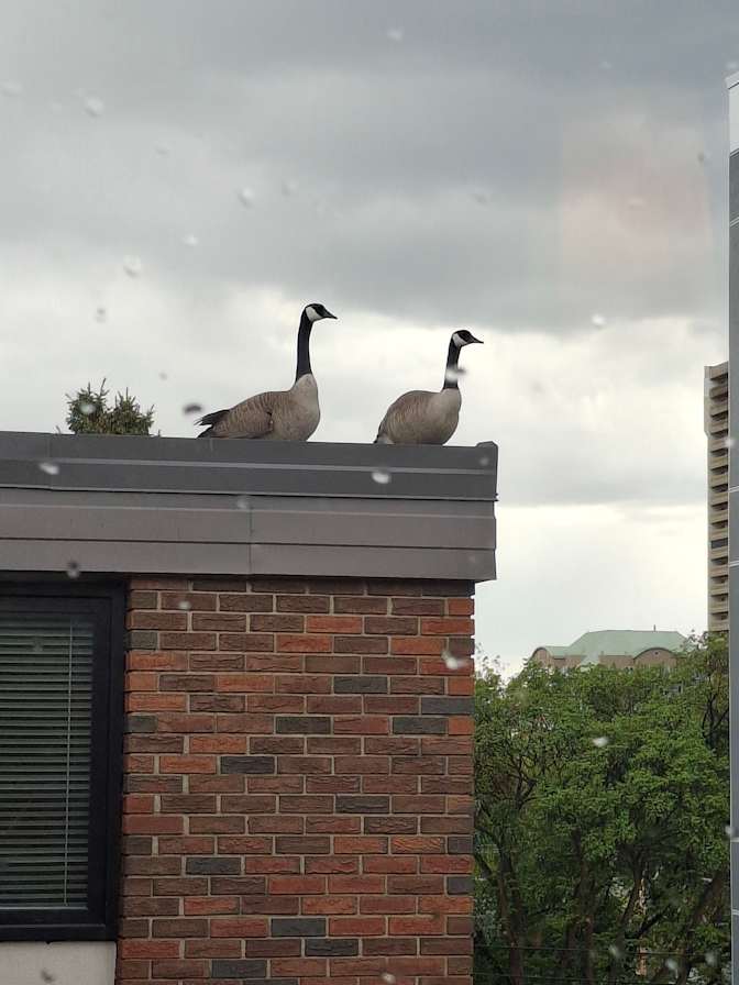 Photo of Alex Mort's room