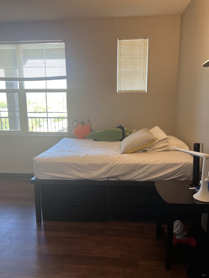 Photo of Jenny Kang's room