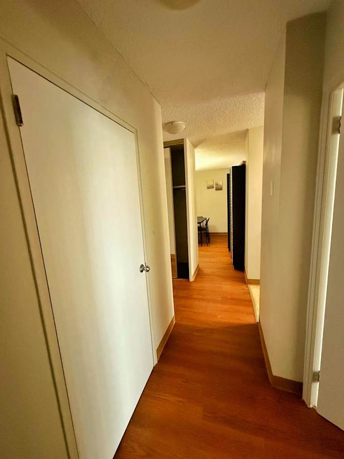 Eleftheri Denis's room