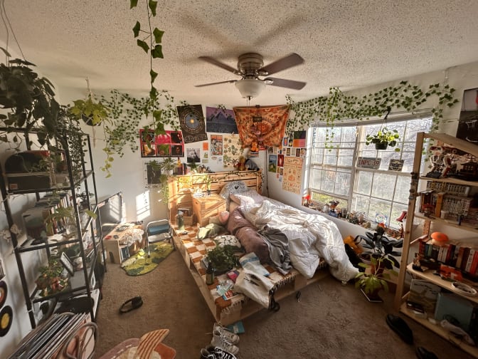 Photo of Paloma Gordon's room