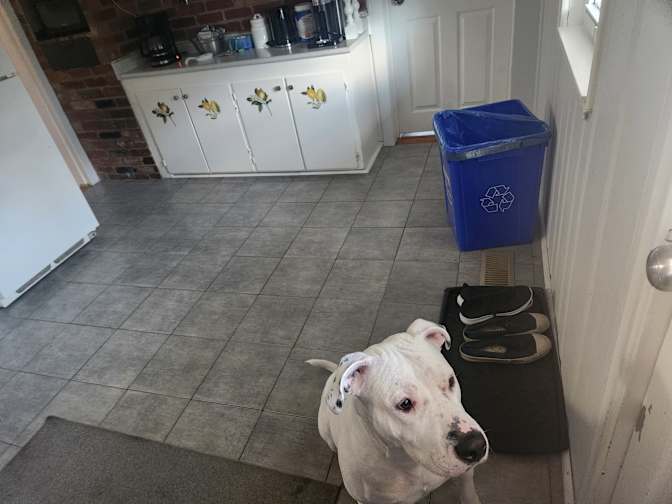 Samantha wilkins's room