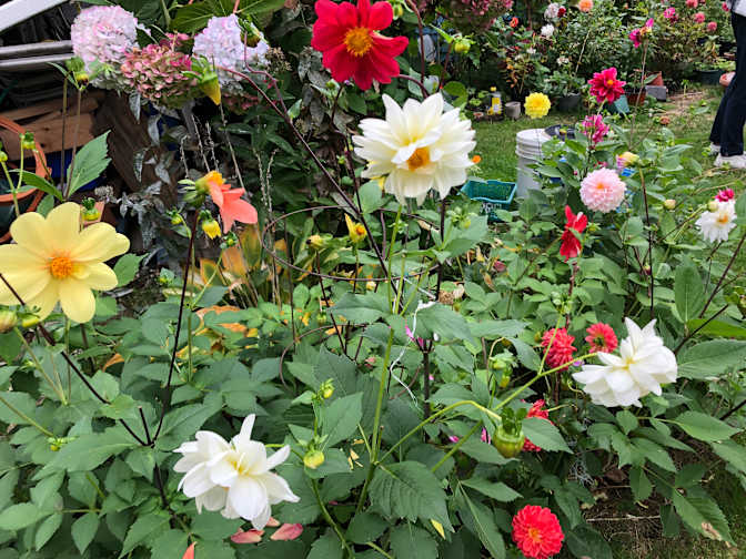 Photo of Annie Dalayon's room