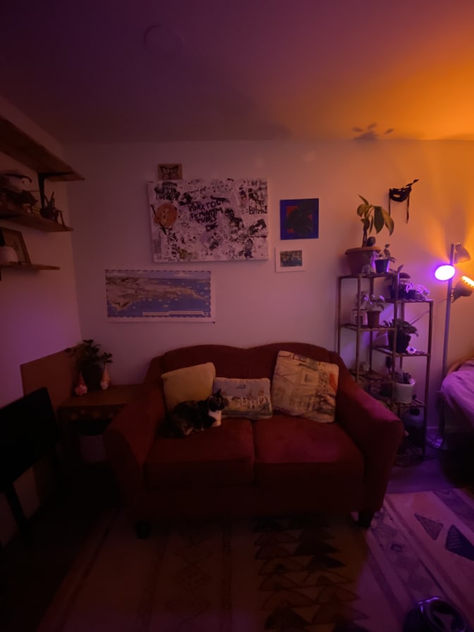 Photo of Sirena's room