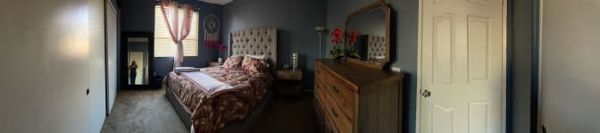 Photo of Greta Small's room