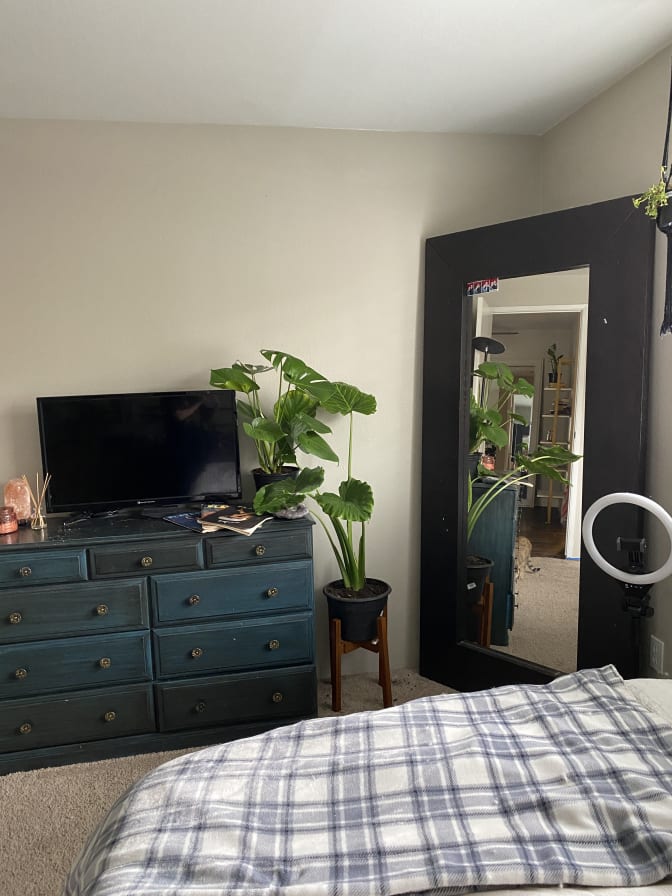 Photo of Dakota's room