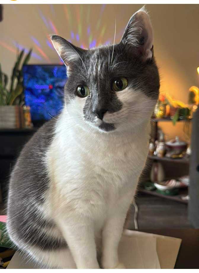 Photo of Leanne's room